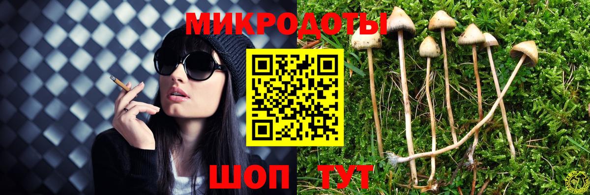 Псилоцибиновые грибы GOLDEN TEACHER Заводоуковск