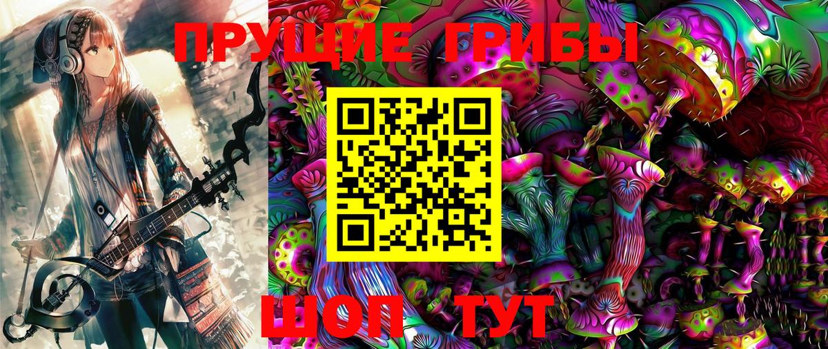Псилоцибиновые грибы Cubensis  Вход с VPN  Заводоуковск 